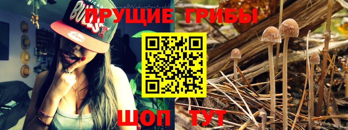 Галлюциногенные грибы Cubensis  Псилоцибиновые грибы GOLDEN TEACHER  Вход с VPN  Воркута 